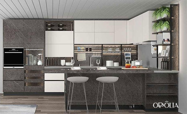 Modern Two-Tone Economical Kitchen Cabinet OBK21-018