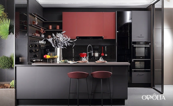 Gray and Red Matte Lacquer Kitchen Furniture BLCC20024