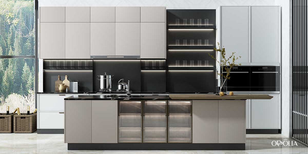Modern Parallel Kitchen Cabinets BLCC20019