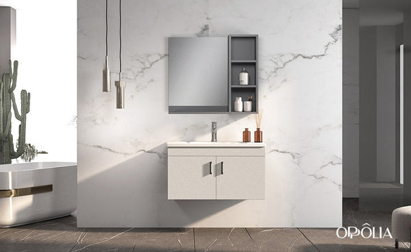 Beige Bathroom Vanity with Sink BLWY23007