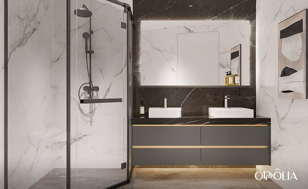 Grey Vanity with Black Countertop OBV22-TR