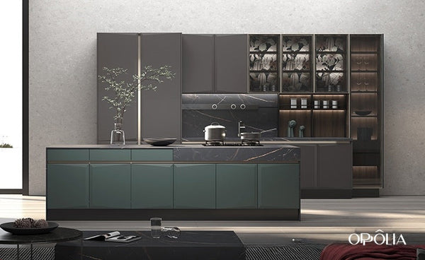 Innovative Dark Grey and Green Kitchen Idea BLCC22304A