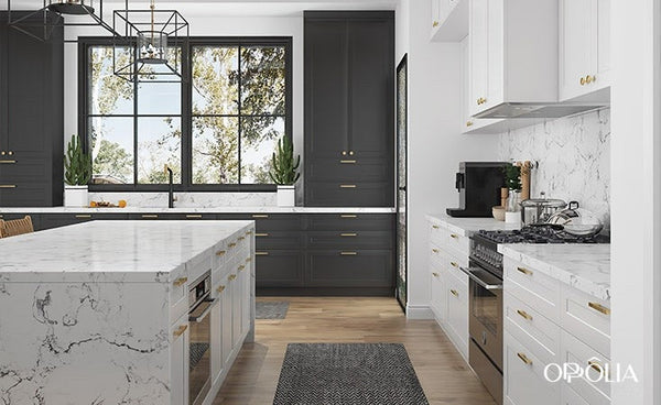 Modern Farmhouse Kitchen Cabinets OBK22-L15