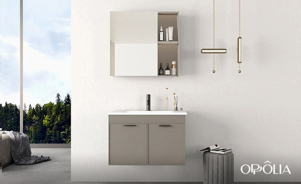 Gray Wall-mounted Bathroom Vanity Units BLWY21001